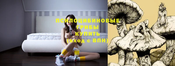 mix Дмитриев