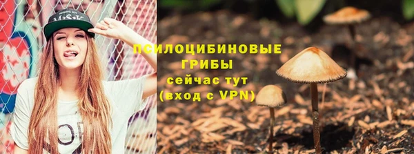 ешки Дмитровск