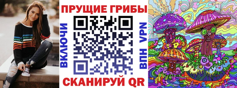 Купить закладки  Кстово  Псилоцибиновые грибы Psilocybine cubensis 